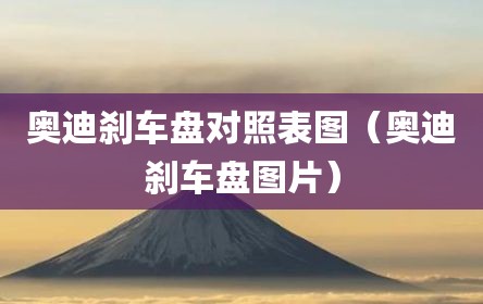 奥迪刹车盘对照表图（奥迪刹车盘图片）