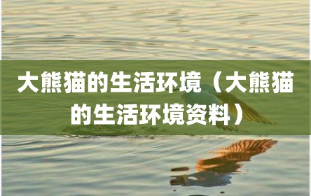 大熊猫的生活环境（大熊猫的生活环境资料）