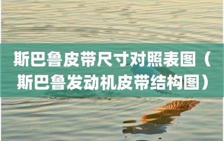 斯巴鲁皮带尺寸对照表图（斯巴鲁发动机皮带结构图）
