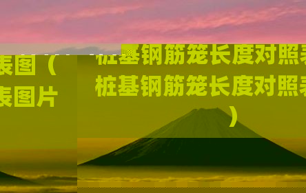 桩基钢筋笼长度对照表图（桩基钢筋笼长度对照表图片）