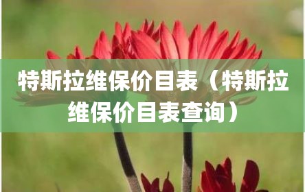 特斯拉维保价目表（特斯拉维保价目表查询）
