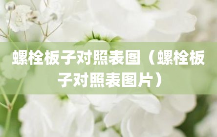 螺栓板子对照表图（螺栓板子对照表图片）