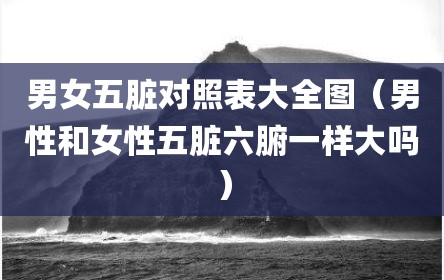 男女五脏对照表大全图（男性和女性五脏六腑一样大吗）