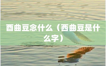 酉曲豆念什么（西曲豆是什么字）