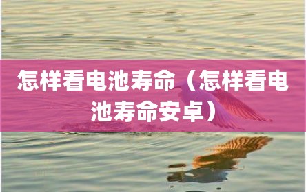 怎样看电池寿命（怎样看电池寿命安卓）