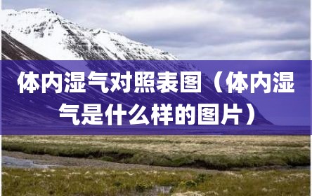 体内湿气对照表图（体内湿气是什么样的图片）