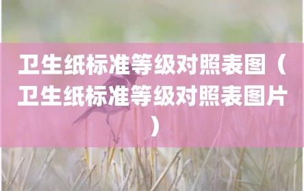 卫生纸标准等级对照表图（卫生纸标准等级对照表图片）