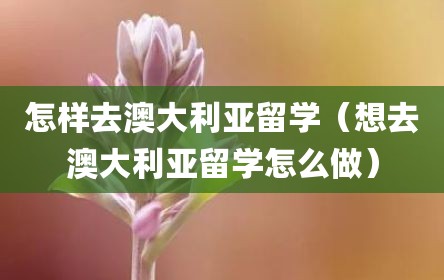 怎样去澳大利亚留学（想去澳大利亚留学怎么做）