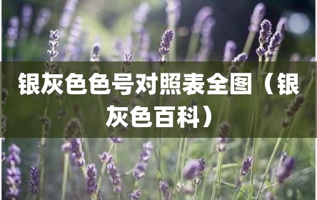 银灰色色号对照表全图（银灰色百科）