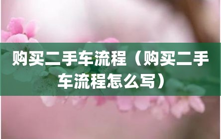 购买二手车流程（购买二手车流程怎么写）