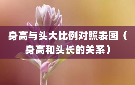 身高与头大比例对照表图（身高和头长的关系）