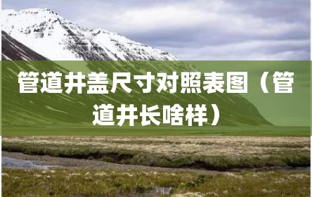 管道井盖尺寸对照表图（管道井长啥样）