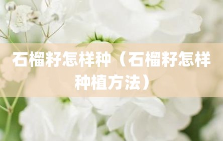 石榴籽怎样种（石榴籽怎样种植方法）