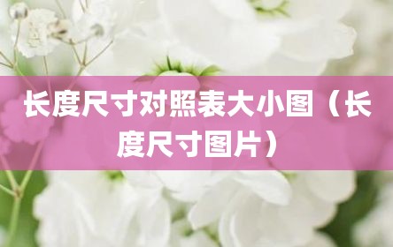 长度尺寸对照表大小图（长度尺寸图片）