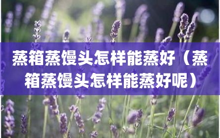 蒸箱蒸馒头怎样能蒸好（蒸箱蒸馒头怎样能蒸好呢）