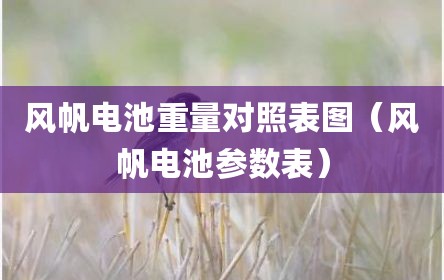 风帆电池重量对照表图（风帆电池参数表）