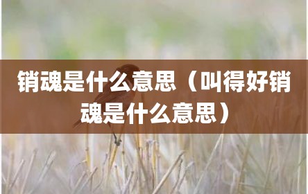 销魂是什么意思（叫得好销魂是什么意思）