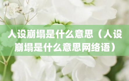 人设崩塌是什么意思（人设崩塌是什么意思网络语）