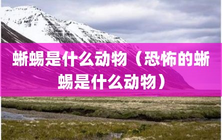 蜥蜴是什么动物（恐怖的蜥蜴是什么动物）