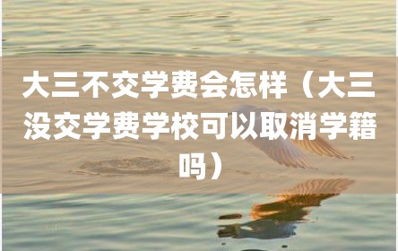 大三不交学费会怎样（大三没交学费学校可以取消学籍吗）