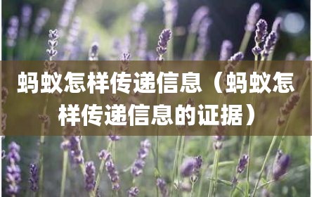 蚂蚁怎样传递信息（蚂蚁怎样传递信息的证据）
