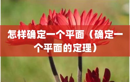 怎样确定一个平面（确定一个平面的定理）