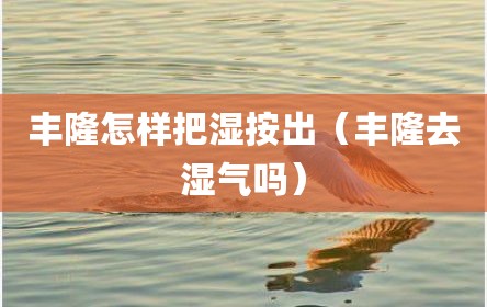 丰隆怎样把湿按出（丰隆去湿气吗）