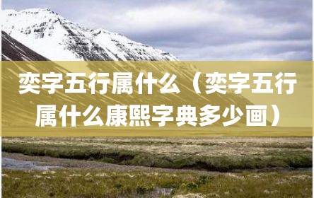 奕字五行属什么（奕字五行属什么康熙字典多少画）