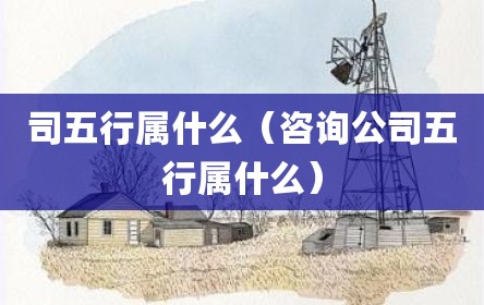 司五行属什么（咨询公司五行属什么）