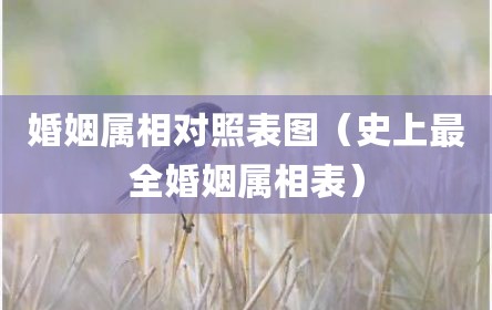 婚姻属相对照表图（史上最全婚姻属相表）