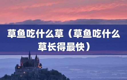 草鱼吃什么草（草鱼吃什么草长得最快）