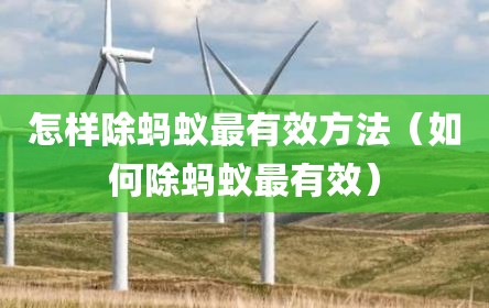 怎样除蚂蚁最有效方法（如何除蚂蚁最有效）