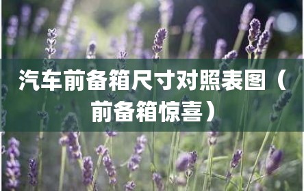 汽车前备箱尺寸对照表图（前备箱惊喜）