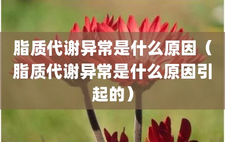 脂质代谢异常是什么原因（脂质代谢异常是什么原因引起的）