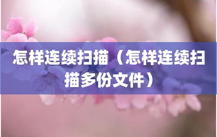 怎样连续扫描（怎样连续扫描多份文件）