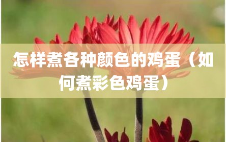 怎样煮各种颜色的鸡蛋（如何煮彩色鸡蛋）