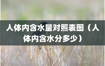 人体内含水量对照表图（人体内含水分多少）
