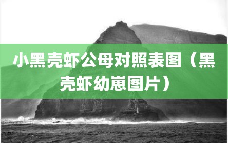 小黑壳虾公母对照表图（黑壳虾幼崽图片）