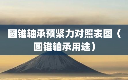 圆锥轴承预紧力对照表图（圆锥轴承用途）