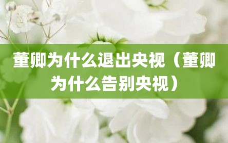 董卿为什么退出央视（董卿为什么告别央视）