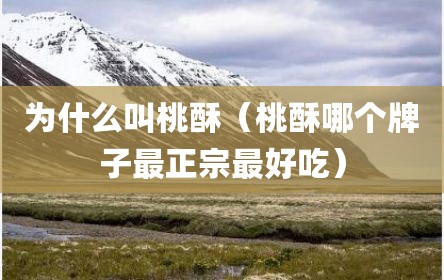 为什么叫桃酥（桃酥哪个牌子最正宗最好吃）