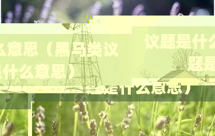 议题是什么意思（黑马类议题是什么意思）
