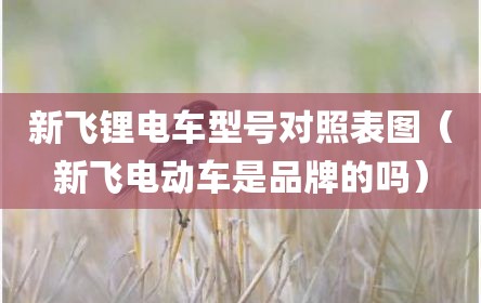 新飞锂电车型号对照表图（新飞电动车是品牌的吗）