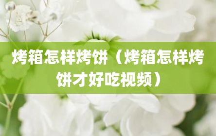 烤箱怎样烤饼（烤箱怎样烤饼才好吃视频）