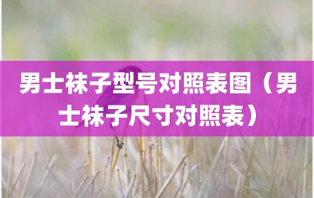 男士袜子型号对照表图（男士袜子尺寸对照表）
