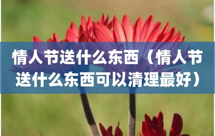 情人节送什么东西（情人节送什么东西可以清理最好）
