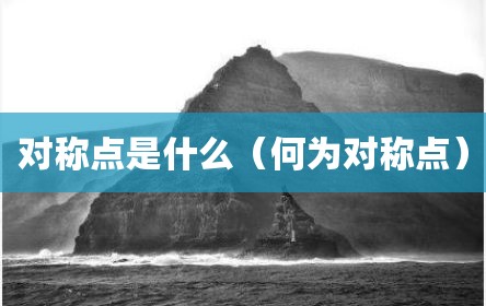 对称点是什么（何为对称点）