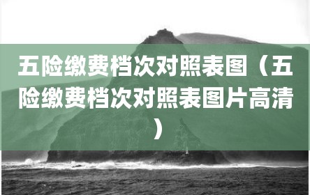 五险缴费档次对照表图（五险缴费档次对照表图片高清）