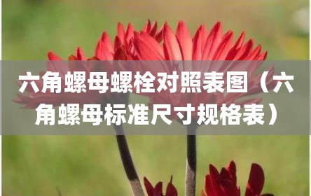 六角螺母螺栓对照表图（六角螺母标准尺寸规格表）
