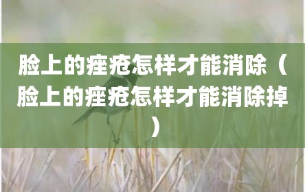 脸上的痤疮怎样才能消除（脸上的痤疮怎样才能消除掉）